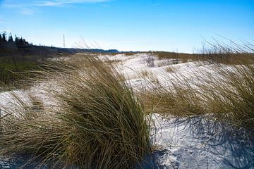 Op het Oostzeestrand met duinen van Martin Köbsch