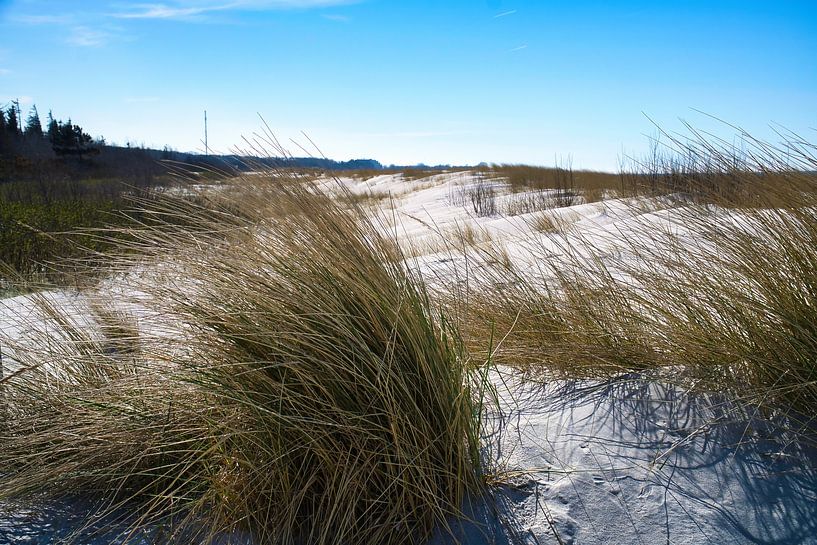 Sur la plage de la mer Baltique avec des dunes par Martin Köbsch