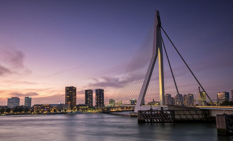 De Zwaan van Rotterdam (Erasmusbrug) van Remco Lefers