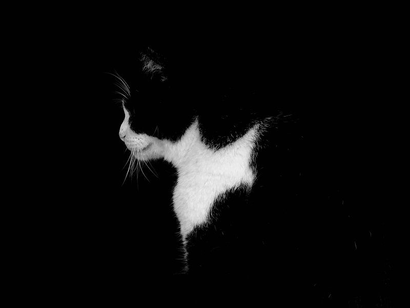 Sam  by Ellen Bakker