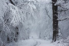 World of Ice. by Inge Bovens