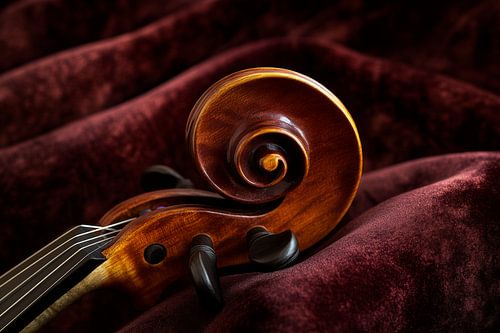 Violon en détail
