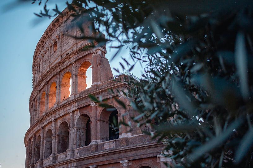 Colosseum by Hello Pompoyo