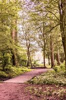 Lage Bergse Bos - Waldweg Nr. 1
