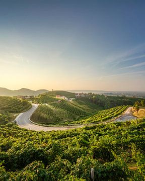 Vignobles et route au lever du soleil, paysage dans les collines du Prosecco sur Stefano Orazzini