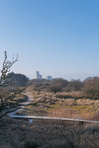 Die Straße durch die Dünen nach Scheveningen Skyline