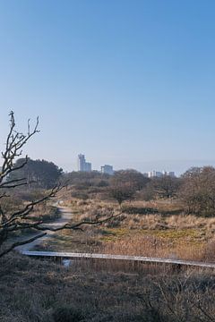 De weg door de duinen naar Scheveningen Skyline