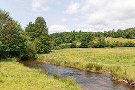 Neidingen Lommersweiler