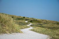 The future beyond the dunes