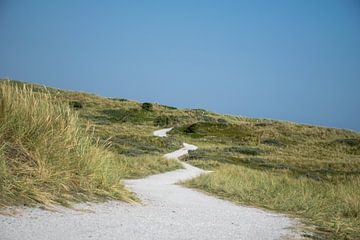 De toekomst voorbij de duinen van studio Arcis fotografie