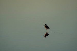 Ein Moment der Besinnung Stille-Wanderer in einer friedlichen Wasserlandschaft