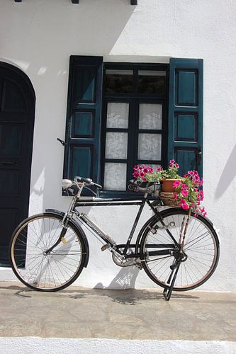 Fahrrad, Fenster, Haus, grün, weiß