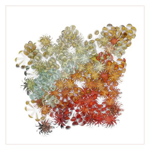 Abstract figuur met bloemen