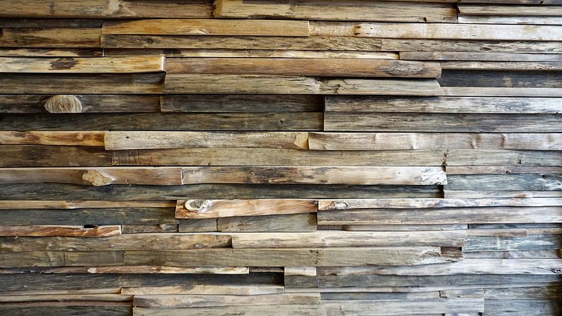 Wall of driftwood by Tim Vaal