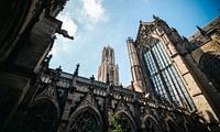 Tour du Dom d'Utrecht depuis le jardin du Dom
