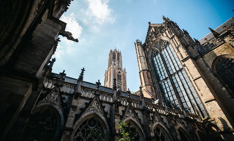 Tour du Dom d'Utrecht depuis le jardin du Dom par Freek van den Bergh