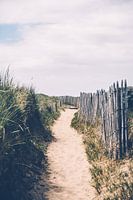 Sentier de sable à travers les dunes