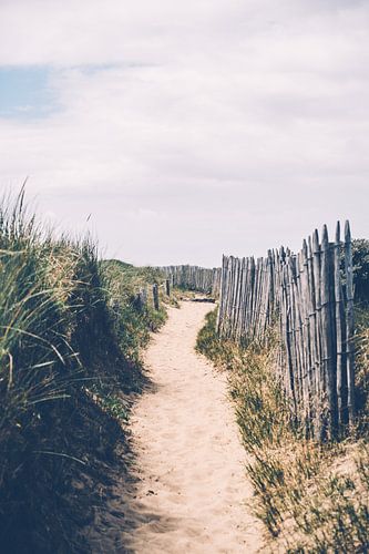 Sand path through the dunes