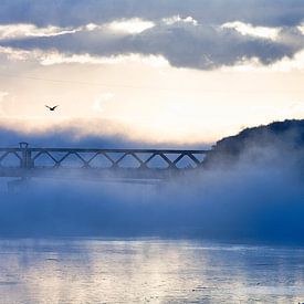 Blauwe Brug en vogel van Wim Heirbaut