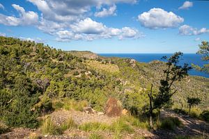 Tramuntana-Gebirge (Mallorca)