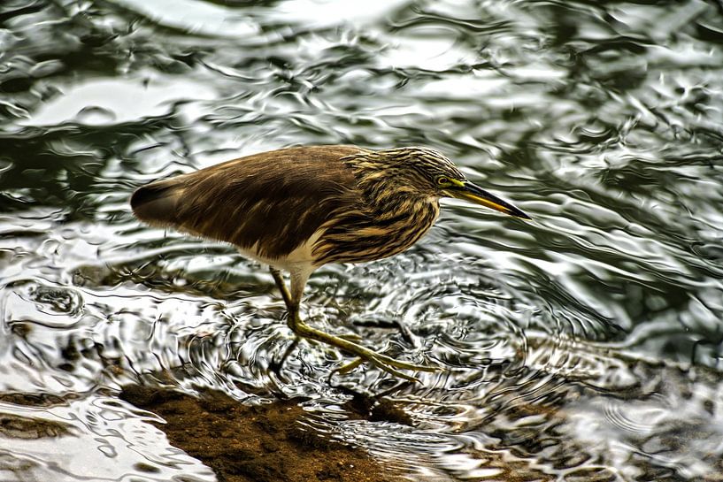 mirror by Stefan Havadi-Nagy