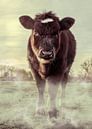 Vache dans la prairie par Bert-Jan de Wagenaar Aperçu