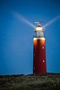 Der Leuchtturm von Texel am Abend von Pieter van Dieren (pidi.photo) Miniaturansicht