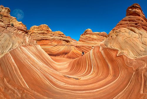 Try Surfing This Wave