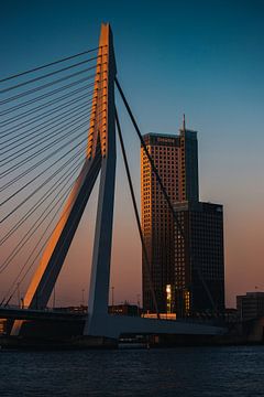 Letztes Sonnenlicht auf der Erasmusbrücke an einem schönen Sommerabend während der blauen Stunde von Arthur Scheltes