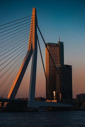 Dernier rayon de soleil sur le pont Erasmus par une belle soirée d'été à l'heure bleue