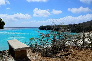 Bench at Playa Kenepa Grandi by Frank's Awesome Travels