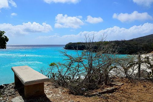 Bank bij Playa Kenepa Grandi
