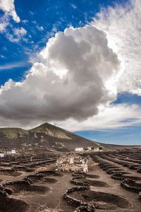 Wijngaard in de streek La Geria op Lanzarote, Canarische Eilanden.