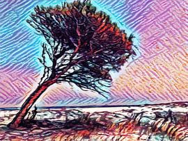 Danser avec le Vent sur Scarlet