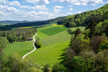 Uitzicht over de Ahorn vallei in Frans Zwitserland, Beieren van Animaflora PicsStock