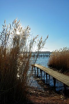 Am See von Claudia Evans