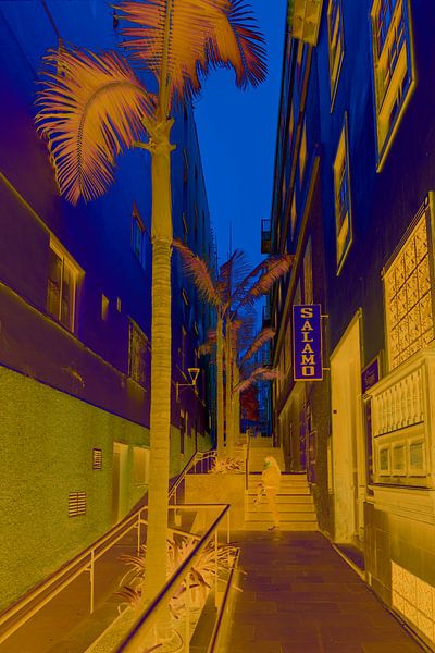 Néons sur les îles Canaries. par Alie Ekkelenkamp