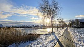 Lakeside path Meerstad in the snow by Jack Schoneveld