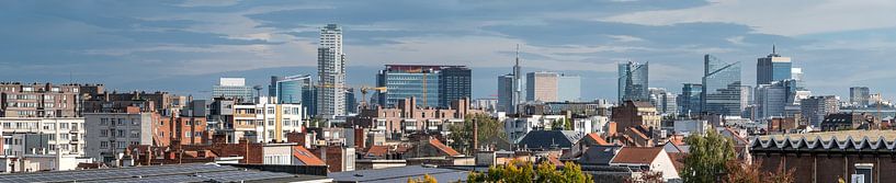 Panorama over Brussel van Werner Lerooy