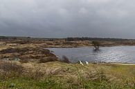 Nature landscape at Ecomare at De Koog on Texel by Captured Created by Cathleen thumbnail