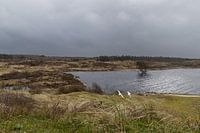 Nature landscape at Ecomare at De Koog on Texel