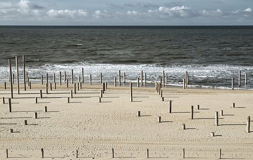 LOST IN HOLLAND 2019-209