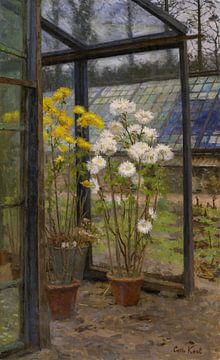 Catherine Kool,Chrysanthèmes dans une serre,Fleurs