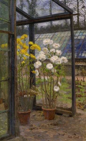 Catherine Kool,Chrysanthemums in a greenhouse,Flowers by finemasterpiece