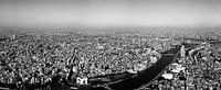 Birds eye view on tokyo