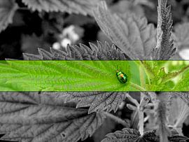 Piepklein torretje. van André Mesker