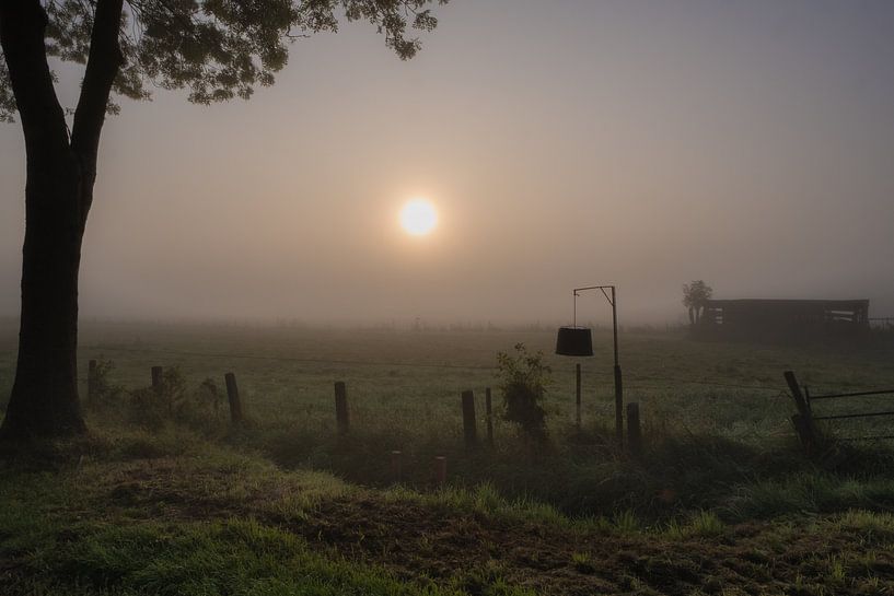 Fog in the Betuwe by Moetwil en van Dijk - Fotografie