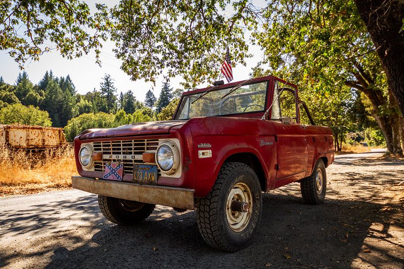 Oude Ford Bronco pick-up van Stefan Swiontek