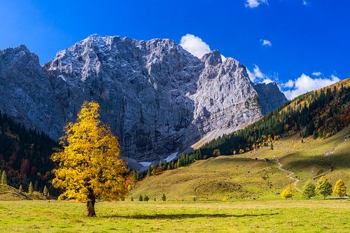 Autumn in the big Ahornboden by Dieter Meyrl