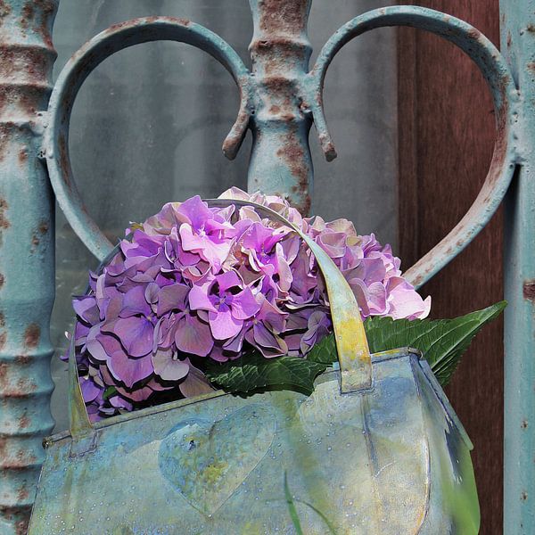 Hydrangea - H. Fischer von mimone art
